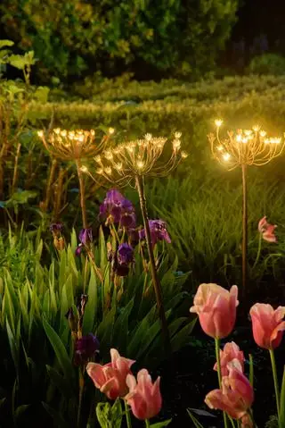 Idee per l'illuminazione solare del giardino: 18 design graziosi ed efficienti dal punto di vista energetico