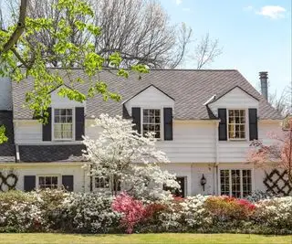 cornouiller dans la cour avant