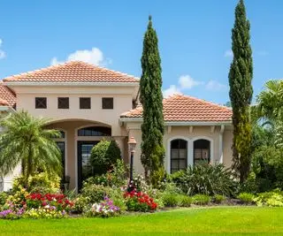 Cyprès italiens dans la cour avant