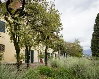 רעיונות לגינה ים תיכונית על שביל חצץ, הכולל דשא נוי עם פרחי בר ושורת עצים מול בית צבוע קרם עם תריסים ירוקים כהים.