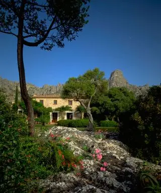 חצר גן ים תיכוני עם מסלעה