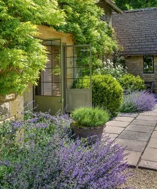 Comment créer un jardin méditerranéen – conseils de plantation, d’aménagement et d’aménagement