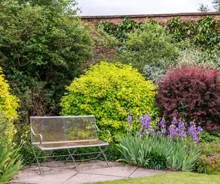 Bunte Sträucher entlang der Wand mit Bank