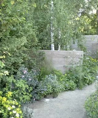 Aménagement paysager avec des arbustes – 10 façons d’introduire ces merveilleuses plantes ligneuses dans votre parcelle