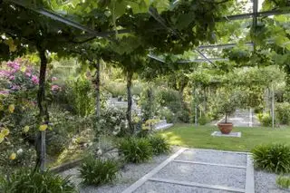 Un chemin de gravier sous une pergola en bois recouverte de plantes et de fleurs