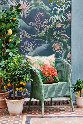 איך לגזום עץ לימון - עצות מומחים כדי לשמור על כושרו