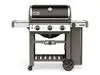 WEBER Systeme de grillade...