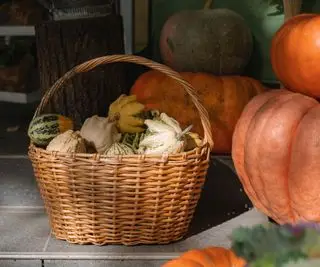 Citrouilles sur le porche