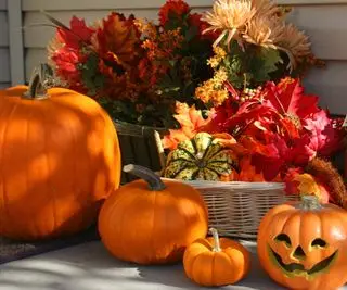Citrouilles sur le porche