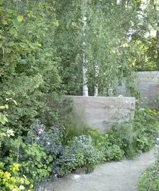 arbres et autres plantations