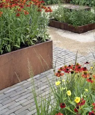 פטיו לבנים עם מיטות מוגבהות ופרחים