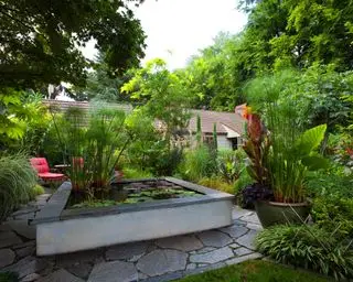 Erhöhter quadratischer Teich in einem kleinen Stadtgarten