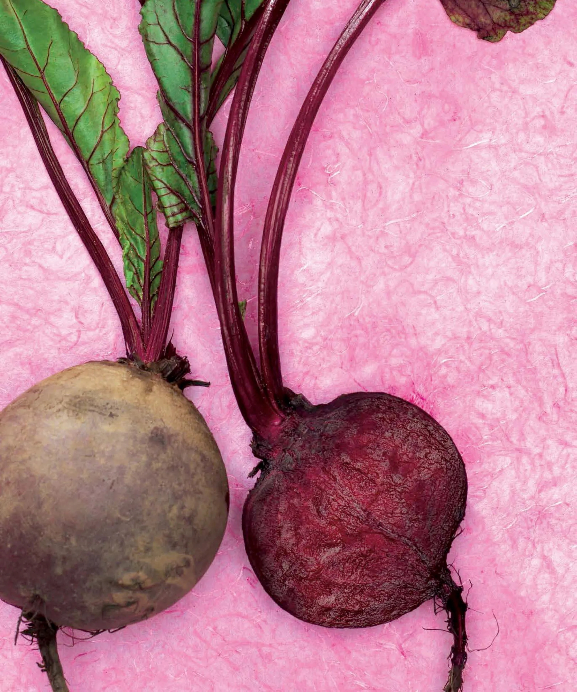 Una remolacha picada sobre un fondo rosa' loading='lazy' title=
