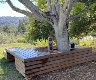 hracia plocha na mieru pod veľkým stromom