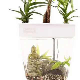 Amazonská vnitřní hydroponická zahrada