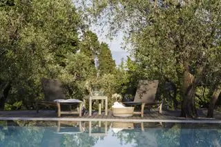 Ideen für Deckfarben