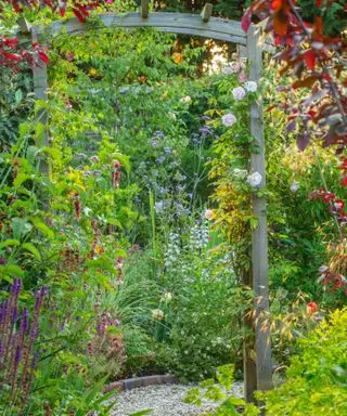 cenador de jardín entre plantaciones densas