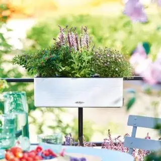 biała doniczka na balustradzie balkonu