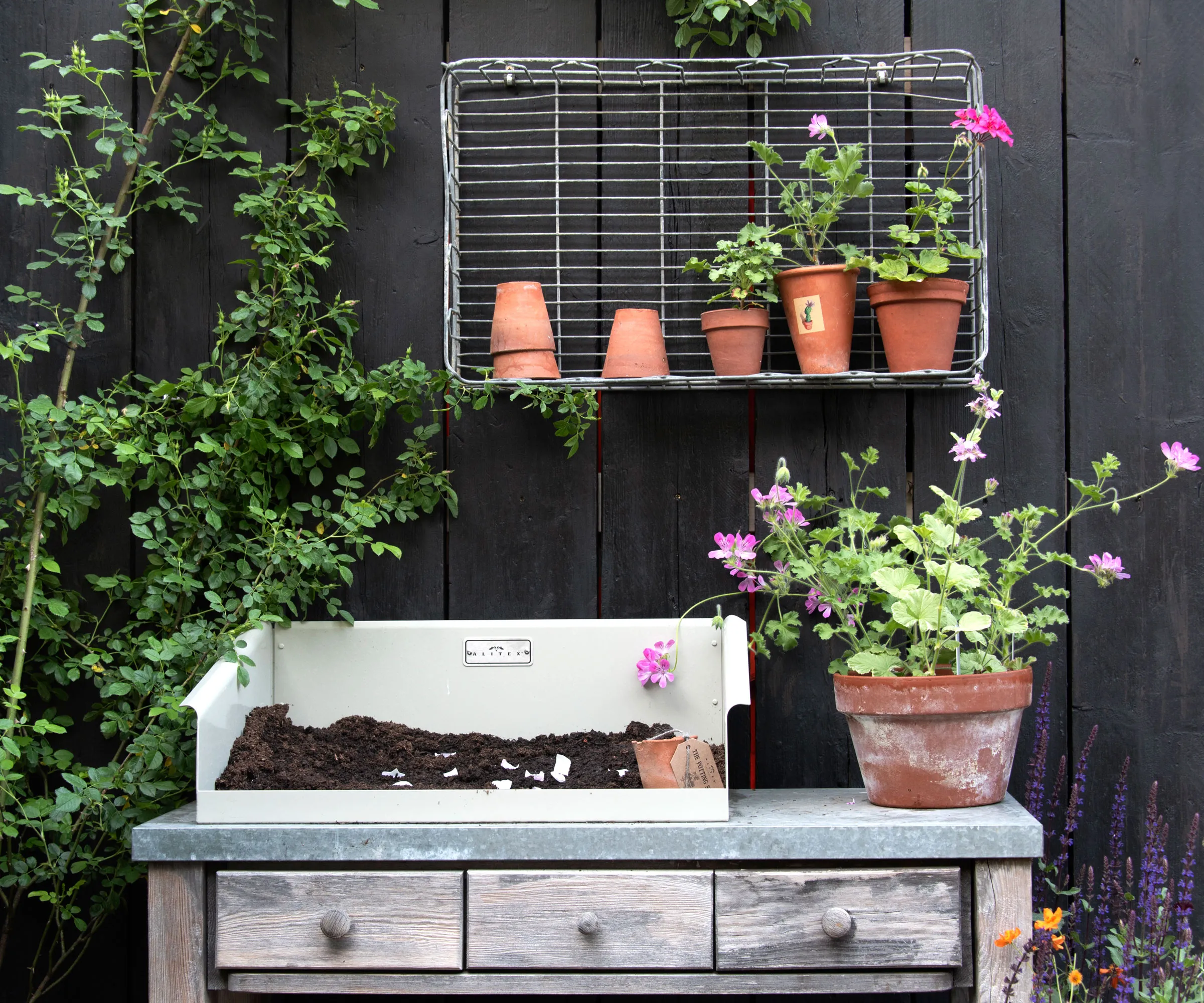 mesa de vasos vintage com terra e plantas em vasos de terracota' loading='lazy' title=