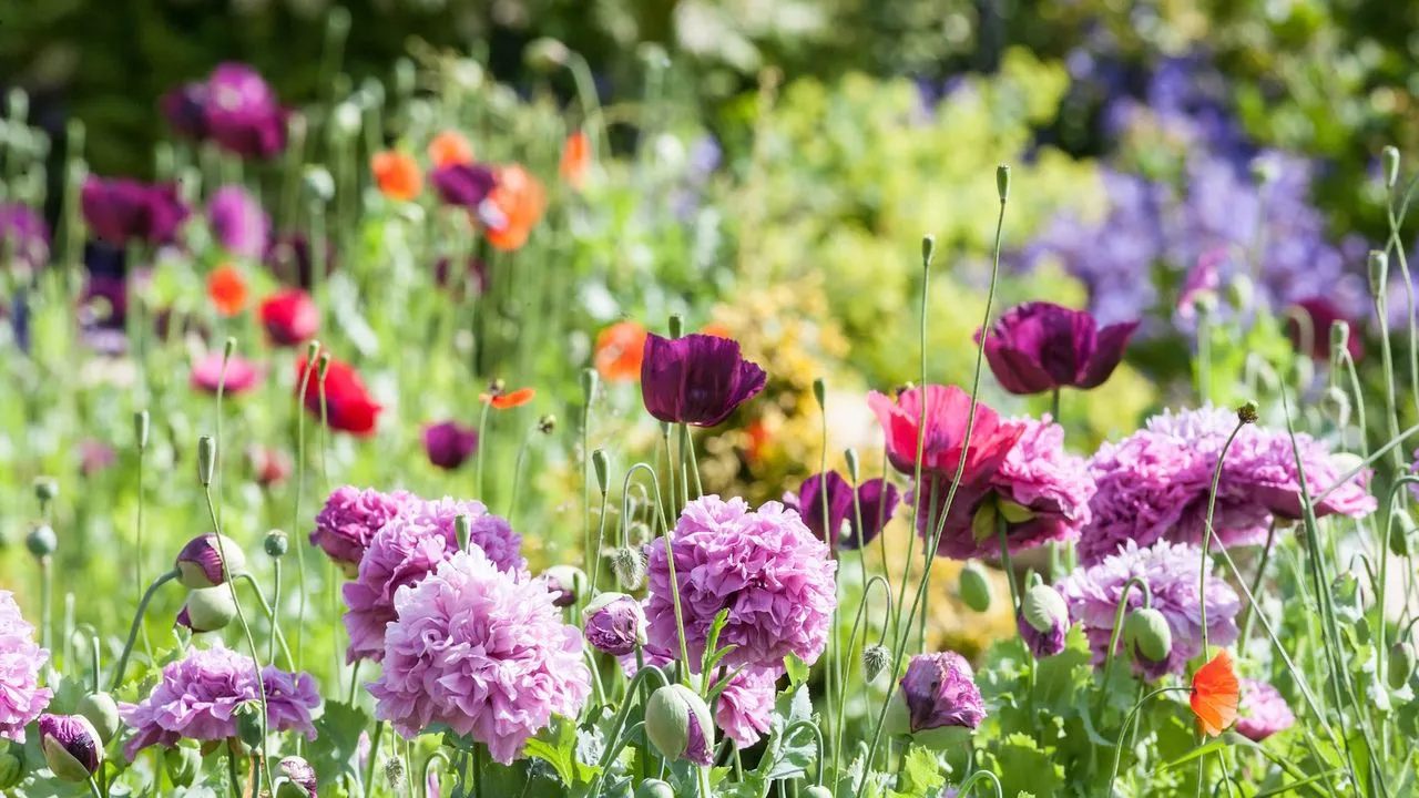 Tarefas do início da primavera' loading='lazy' title=