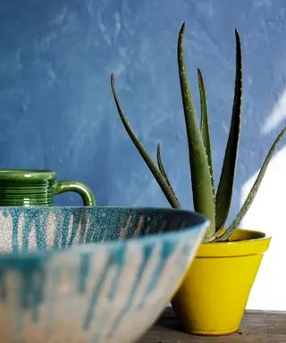 planter til at hjælpe dig med at sove