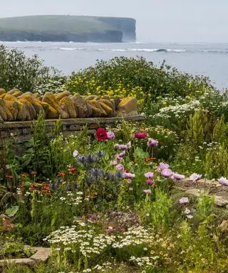 Pobrežná záhrada s jasnými kvetmi