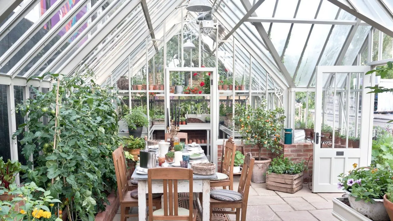 Uma grande estufa cheia de estantes de plantas, mesa e cadeiras' loading='lazy' title=