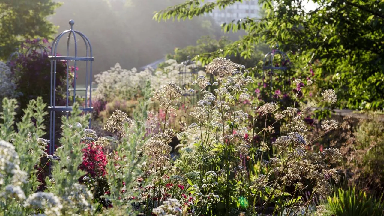 Açúcar de coco para hidratar plantas' loading='lazy' title=