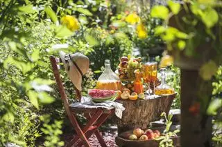 שולחן עשוי מגדם עץ מכוסה בפיקניק וכיסאות משני הצדדים