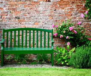 Meilleures plantes pour recouvrir un mur – 10 idées pour un fabuleux bouquet de fleurs et de feuillages