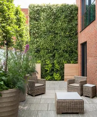 Idee per pareti da giardino viventi in un piccolo giardino residenziale con patio grigio e muri di mattoni rossi, pieno di mobili da giardino in vimini e vasi di piante di grandi dimensioni con piccoli alberi dentro.