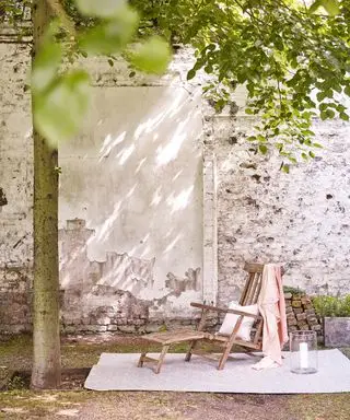 Tre solseng i bakgården under treet