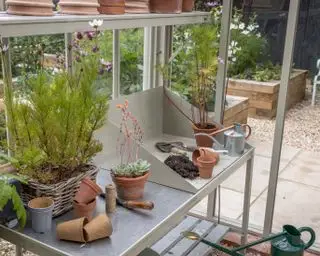 étagères de serre avec outils et plantes