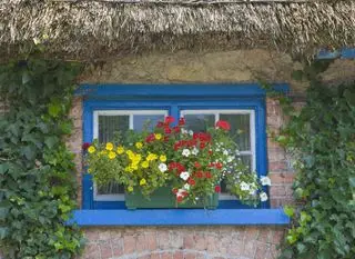 idées de jardin de chalet devant la cour