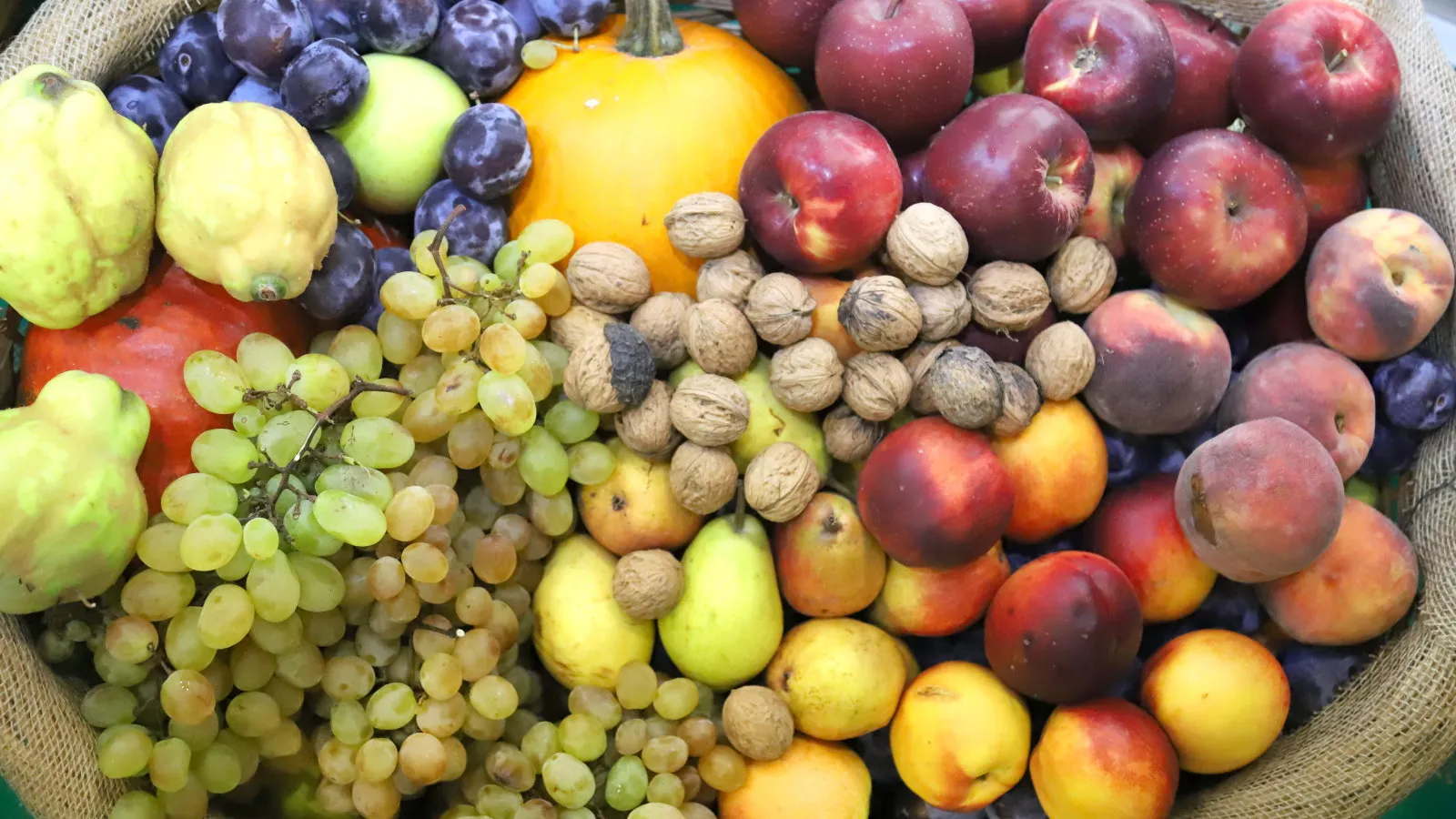 Jak zjistit, kdy jsou jablka připravena vybrat - odborníci přísahají těmito 3 značkami