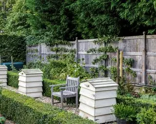 Záhradný plot s úľmi vpredu
