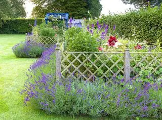 Nízke mrežové oplotenie v záhrade chaty