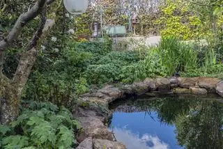 Oczko wodne otoczone nową roślinnością wiosenną oraz patio z częścią wypoczynkową.