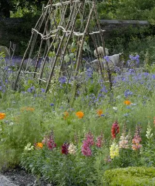 Gruziński ogród w Wordsworth House z roślinami ozdobnymi zmieszanymi z uprawami jadalnymi. National Trust