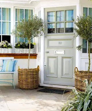 Svetlo sivo-modré maľované vchodové dvere, pruhované žalúzie v okne, črepníkové rastliny na oboch stranách vchodových dverí