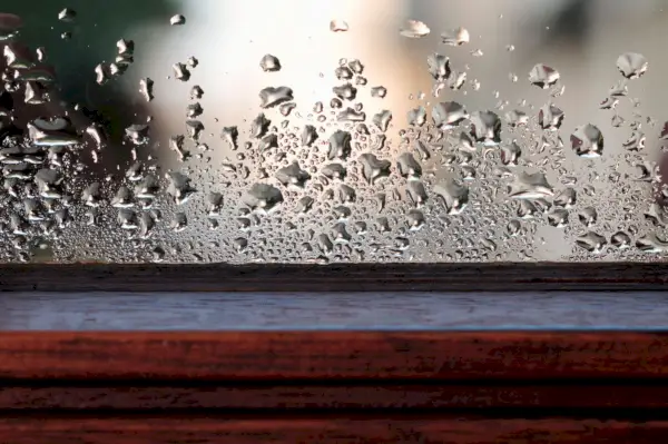 Comment se débarrasser de la condensation à l’intérieur des fenêtres – 7 façons de protéger votre maison