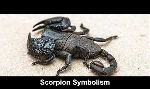 Symbolika Skorpiona