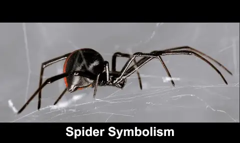 Edderkoppesymbolik