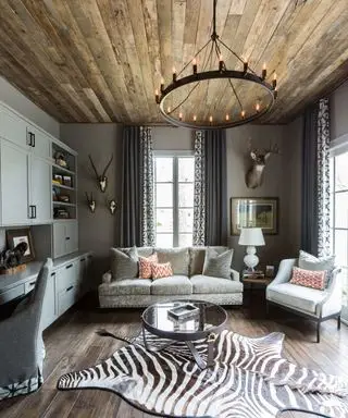 Plafond en bois sombre, lustre arrondi en métal noir, murs peints en gris, tapis à imprimé zèbre, canapé et fauteuil gris, armoire de rangement grise intégrée, rideaux à motifs bleus