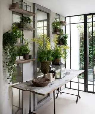 entrada cheia de planta