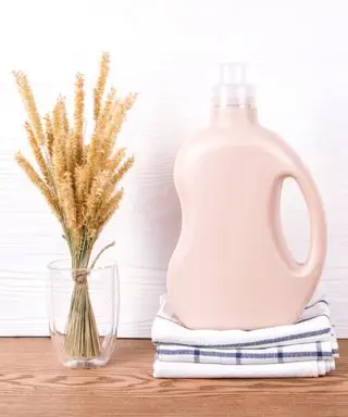 Utiliser de l’eau de Javel pour tuer les moisissures – conseils d’experts à connaître avant de nettoyer