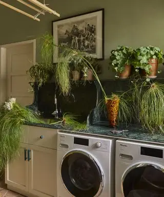 グリーンルーム、木製物干しラック、緑のカウンタートップ