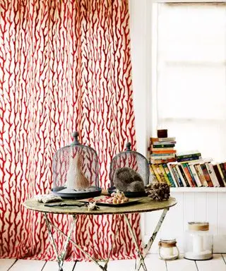 산호 무늬 커튼, 흰색 페인트 벽, 책으로 장식된 선반, 조개 껍질로 장식된 나무 테이블이 있는 편안한 거실