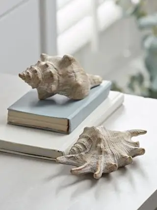 coquillages en résine pour des idées de décoration côtière