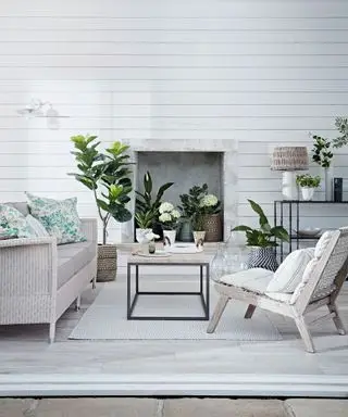 Ideas de sala de estar blanca con interior escandinavo con plantas en macetas y muebles minimalistas de madera pálida.